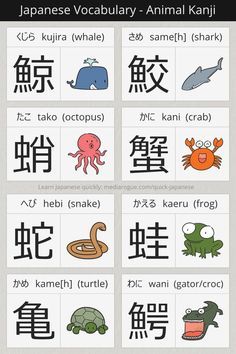 890 Best Learning Japanese ideas in 2022 | japanese, learn japanese, japanese language Basic Kanji, Japanese Basic, Japanese Ocean, Learn Basic Japanese, Japanese Verbs, Elks Lodge, How To Speak Japanese, Japanese Vocabulary, Materi Bahasa Jepang