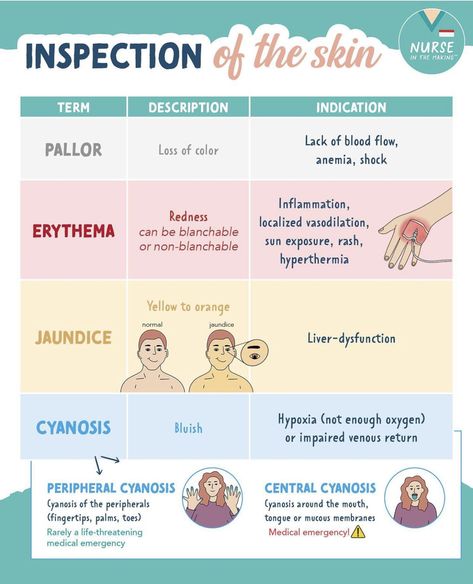 Skin Integrity Nursing, Sterile Technique Nursing, Cna Notes, Foundations Of Nursing, Nursing School Studying Cheat Sheets, Nursing School Life, Nurse Tips, Medical Assistant Student, Nursing School Essential