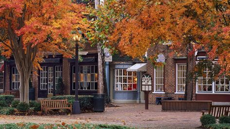 Virginia Fall, Williamsburg Virginia, College Aesthetic, William And Mary, Williamsburg Va, College Town, Colonial Williamsburg, Savannah Georgia, Charleston South Carolina