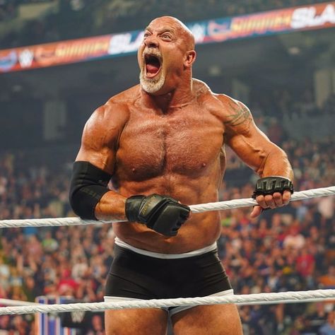 Goldberg Wwe, Bill Goldberg, Buff Guys, World Championship Wrestling, Dolph Ziggler, Wwe Wallpapers, Wwe Legends, Pro Wrestler, Wrestling Superstars