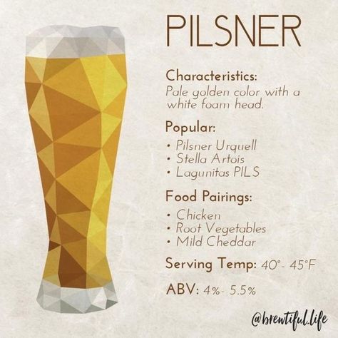 🍺 Discover the crisp and refreshing world of Pilsners!🍺 Enjoy the pale golden hue and white foam head of a classic Pilsner. Perfectly paired with chicken, root vegetables, and mild cheddar. Serve chilled at 40-45°F. ABV: 4%-5.5%. Cheers to a #BrewtifulLife! 🍻 #beer #franklinma Beer Food Pairings, Beer Taster, Infographic Food, Beer Facts, Beer Factory, Beer Guide, Beer And Food, Beer Collection, Beer Pairing