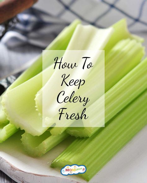 How To Keep Celery Crisp, Keeping Celery Fresh In Fridge, Celery Preservation, How To Make Celery Last Longer, How To Keep Chopped Veggies Fresh, What Can I Make With Celery, Keep Celery Fresh Longer, How To Preserve Celery, Best Way To Store Celery In Fridge