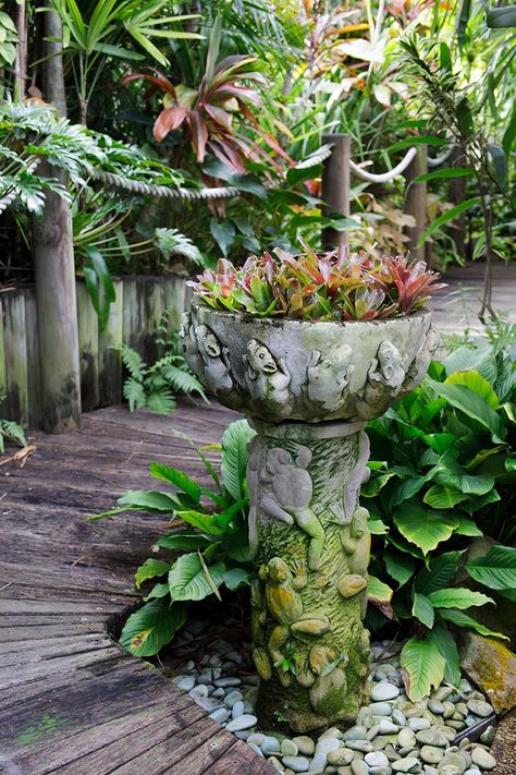 British Colonial Garden, Garden Ideas Australia, Tropical Garden Plants, Balcony Style, Small Tropical Gardens, Plane Trip, Bali Garden, Balinese Garden, Tropical Landscape Design