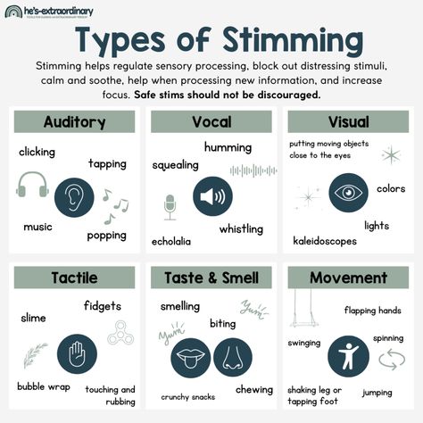 Auditory Stimming, Visual Stimming, Whole Body Listening, Reflective Practice, Receptive Language, Inclusion Classroom, Intrinsic Motivation, Life Binder, Sped Teacher