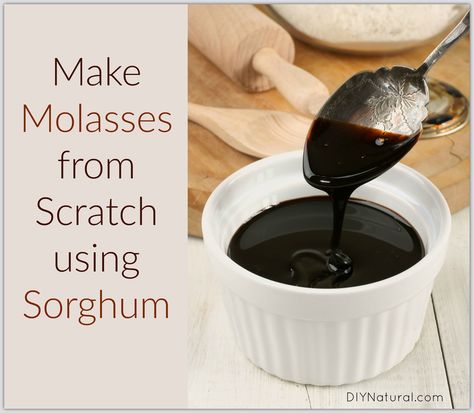 Learn how to make molasses from sorghum you purchased, or grew yourself. Where you get the sorghum doesn't affect the outcome; but if you buy, make sure it's organic. Homemade Molasses, How To Make Molasses, Homegrown Recipes, Homesteading Recipes, Sorghum Syrup, Paleo Condiments, Molasses Recipes, Raw Juice, Blackstrap Molasses