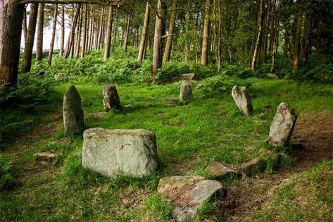 Doll Tor is one of the most charming stone circles in the British Isles. (Elfmeterschiessen/CC BY SA 3.0) Old Cemetery, Forest Grove, Stone Circle, Witching Hour, Standing Stone, Sacred Stones, Ancient Origins, Witchy Things, Sacred Places