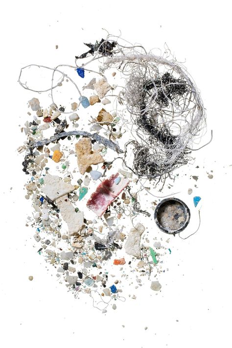 Microplastics have invaded virtually every crevice on Earth | National Geographic Tiny Fish, Ocean Pollution, Awareness Poster, Food Web, Things Under A Microscope, Plastic Pollution, Eco Design, A Day In Life, Plastic Waste