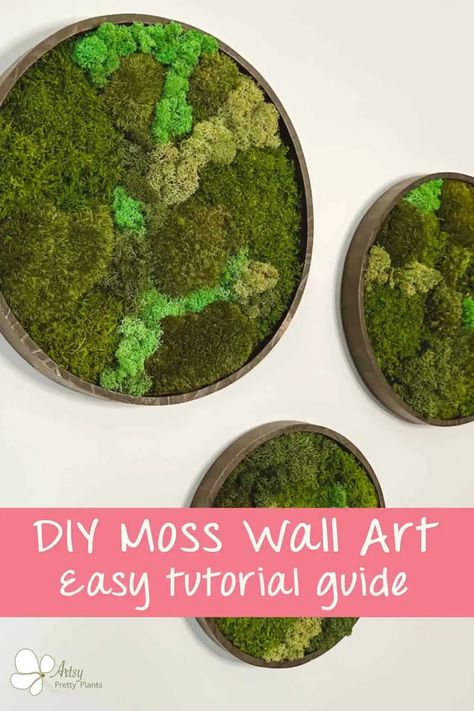 Diy Moss Wall Art, Live Moss Wall, Diy Moss Wall, Mos Wand, Moss Gardens, Diy Moss, Moss Decor, Moss Wall Art, Moss Garden