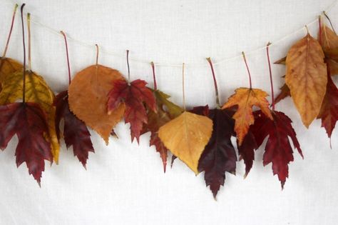 Preserve and bring the natural colors of Autumn inside the house with this easy and fun fall leaf garland that is sure to brighten up the darkest days. Waxed Leaf Garland, Wax Leaf Garland, Autumn Leaf Decorations, Real Leaf Garland, Leaf Garland Diy, Wildlife Activities, Diy Leaf Garland, Window Garland, Leaves Craft