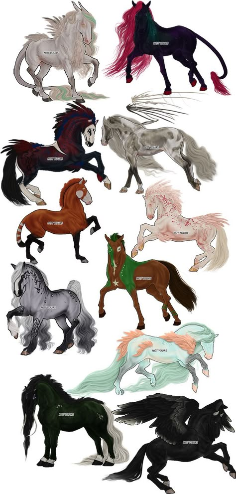 We need more cool horse variants! Bella Sara, Dragon Horse, Magical Horses, Rasy Koni, Mystical Animals, Fantasy Horses, Mythical Animal, Horse Drawing, Horse Drawings