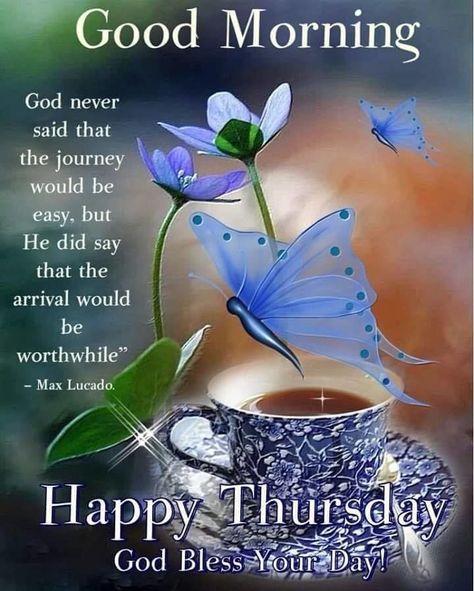 Happy Thursday Pictures, Happy Thursday Morning, Thursday Pictures, Happy Thursday Images, Thursday Inspiration, Thursday Images, Good Morning Happy Thursday, Good Thursday, Happy Thursday Quotes