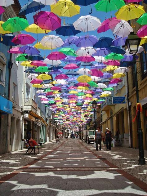 portal of semiotic umbrellas New Colorful Canopy of Umbrellas Graces the Streets of Portugal - My Modern Met Umbrella Street, Turkey Disguise Project, Turkey Disguise, Colorful Umbrellas, Deco Luminaire, Umbrella Art, Art Festival, Public Art, 인테리어 디자인