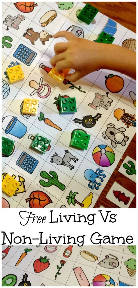 Get a free game and sorting cards to assist you in teaching your living vs non-living unit. There are other activities, such as emergent readers available too. Plants Science, Pre-k Science, Living And Nonliving, Partner Quotes, Ela Centers, Science Boards, Science Games, Study English, Doodle Alphabet