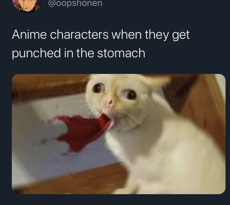 Image Meme, Anime Mems, Anime Funny Moments, Magnum Opus, Funniest Memes, Anime Jokes, Naruto Funny, Anime Memes Funny, Anime Meme