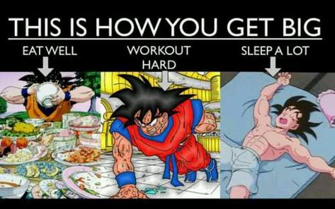 How to be successful and healthy - Visit now for 3D Dragon Ball Z shirts now on sale! Bodyweight Workout Routine, Bodybuilding Memes, David Laid, Dbz Memes, Jeff Seid, Sleeping A Lot, How To Get Bigger, Gym Memes, Gym Humor