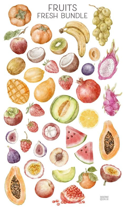 Fruits And Vegetables Line Art, Watercolour Fruits, Fruits Clipart, Fruit Poster, Fruit Clipart, Fruit Wallpaper, Watercolor Fruit, Fruit Illustration, Fruit Painting