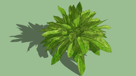 Planta sem o vaso | 3D Warehouse 3d Warehouse, Plant Leaves, Models, Plants, Art, Nature