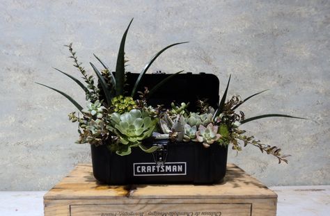 Manly Succulent Green Arrangement in Craftsman Tool Box. www.dandelionranch.com #Eco #Drought #Flower #Earth #Sustainable Floral Designs Arrangements, Slow Flower, Flowers For Men, Grave Flowers, Memorial Flowers, Cemetery Flowers, Fresh Flowers Arrangements, Succulent Arrangements, Exotic Flowers