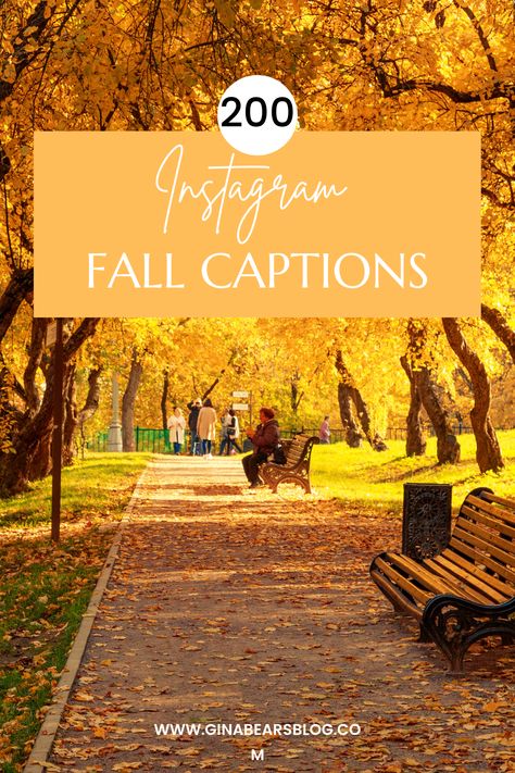 Fall Outfit Captions For Instagram, November Photo Dump Captions, Fall Beauty Quotes, Fall Photo Quotes, Fall Photo Captions, Fall Family Quotes, Fall Ig Captions, Autumn Instagram Captions, Senior Captions