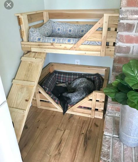 Dog Bunk Beds, Pallet Dog Beds, Katt Grejer, Diy Dog Bed, Dog Rooms, Bookshelves Diy, Sandbox, Dog Kennel, Wooden Pallets