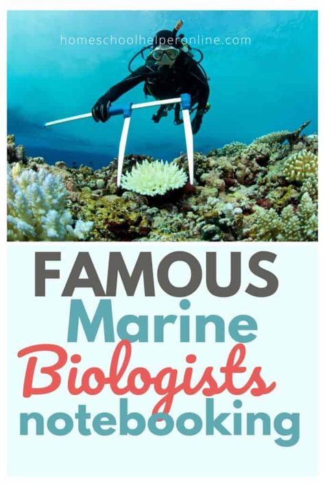 Famous Marine Biologists Homeschool Notebooking Pages - Homeschool Helper Online Homeschool Notebooking, Famous Marines, Notebooking Pages, Ocean Unit, Rachel Carson, High School Science, Marine Biologist, Nasa Astronauts, Marine Biology