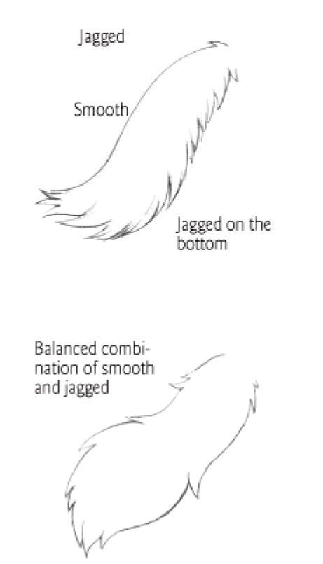 Tail types 2 Wolf Tail, Cat Drawing Tutorial, Warrior Cat Drawings, Anime Karakterek, Wolf Drawing, Gambar Figur, Cat Eyes, Warrior Cat, Animal Sketches