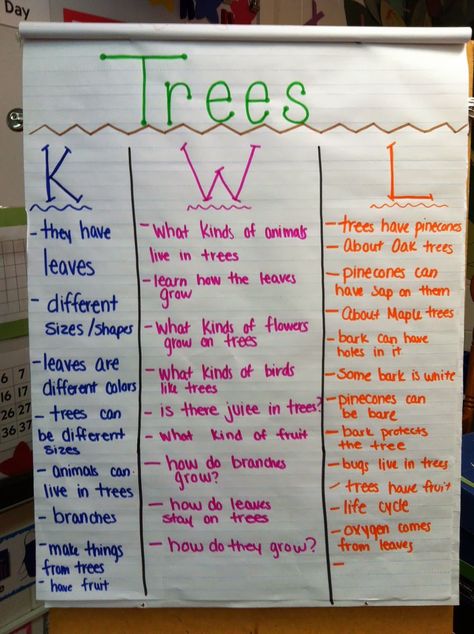 We started a new Science unit on Trees!  Ms. Arboe had us help her make a KWL Chart.  We started our KWL chart by listing things we already... Kwl Chart For Trees, Tree Study For Prek, Teaching Strategies Tree Study, Preschool Tree Study Activities, Preschool Tree Theme, Prek Tree Study, Tree Study Creative Curriculum Preschool Dramatic Play, Trees Theme Preschool, Creative Curriculum Tree Study Preschool