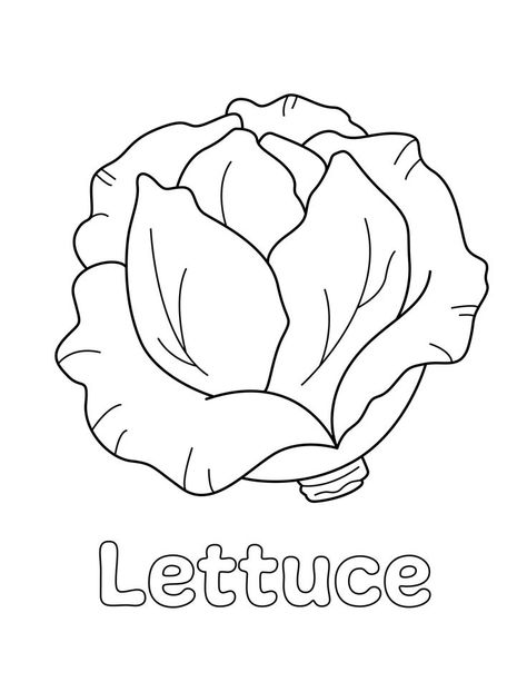 Lettuce Coloring Page from LittleBeeFamily.com Coloring Pages Activities, Preschool Food, Diy Coloring Books, Vegetable Coloring Pages, Bee Family, Winter Activities Preschool, Kawaii Fruit, Fruit Coloring Pages, Abc Coloring Pages