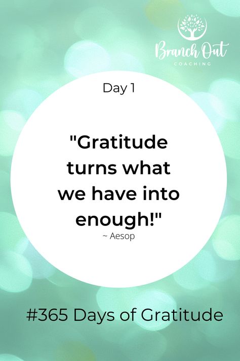 Follow these for daily inspiration... Gratitude Day, 365 Days, Daily Inspiration, Happy Quotes, Gratitude, Pie Chart, Coaching, Turn Ons, Quotes