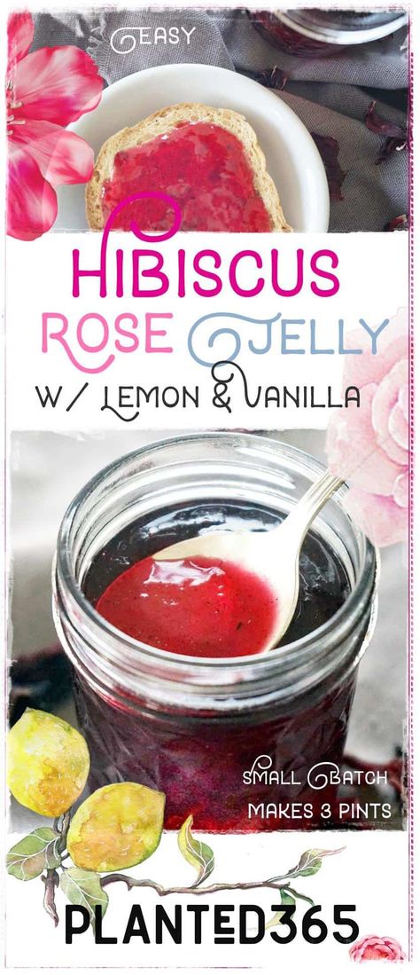 Hibiscus Rose Jelly with Lemon and Vanilla | Planted365 Vegan Puddings, Hibiscus Recipe, Rose Jelly, Rhubarb Jam Recipes, Vegan Dips, Strawberry Rhubarb Jam, Canning Ideas, Food Swaps, Rhubarb Jam