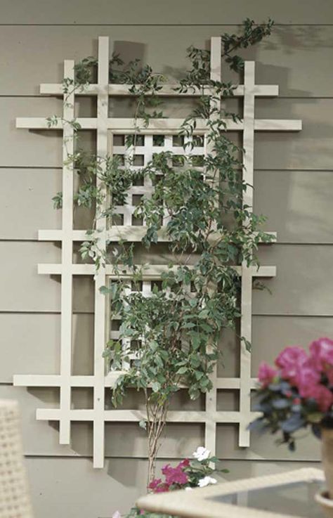 One terrific trellis Woodworking Plans Patterns, Backyard Structures, Wooden Trellis, Wood Magazine, Easy Wood Projects, Learn Woodworking, Cool Woodworking Projects, Popular Woodworking, Woodworking Plan