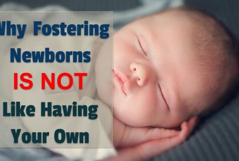 Becoming A Foster Parent, Foster Kids, Colicky Baby, Foster Baby, Foster Parent, Foster Care Adoption, Toddler Behavior, Foster To Adopt, Baby Sign Language