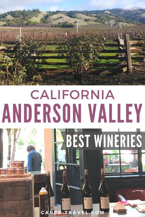 The Perfect Two-Day Itinerary for Sipping in Anderson Valley Wineries Anderson Valley Wineries, California Wineries, America Album, California Winery, Wine Country Travel, Mendocino Coast, Apple Farm, Sonoma Valley, Instagram Famous