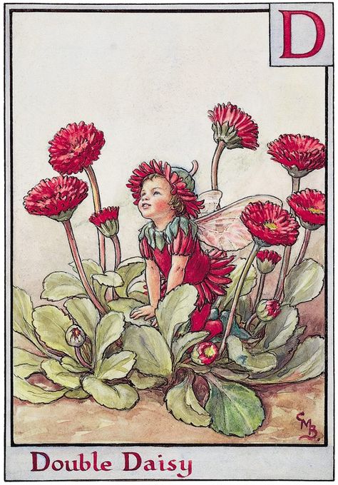 Flower Fairies Books, Illustration Kunst, Arte Indie, Fairy Images, Fairy Illustration, Fairy Pictures, Cicely Mary Barker, Fairy Artwork, Vintage Fairies