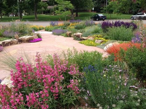 Drought Resistant Garden, Rabbit Brush, High Country Gardens, Garden Catalogs, Drought Tolerant Garden, Aerate Lawn, Drought Tolerant Landscape, Country Gardens, Drought Resistant