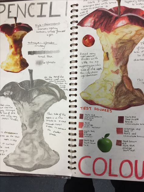 Gcse Experimentation Sketchbook Ideas, Sketch Layout Design, Gcse Art Observational Drawings Sketchbook Pages, Sketch Book Studies, Still Life Gcse Sketchbook, Gcse Art Sketchbook Title Page Ideas, Gcse Art Sketchbook Development, Art Gcse Observational Drawing Page, Artist Pages Gcse Art