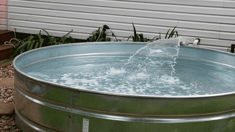 Diy Stock Tank Pool, Oasis Garden, Diy Stock Tank, Stock Tank Pool Diy, Metal Tub, Stock Tank Pool, Tank Pool, Chicken Garden, Fairy Garden Designs