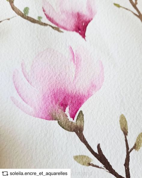 Copaquarelles on Instagram: “On commence le mois avec les doux magnolias de Leïla #REPOST @soleila.encre_et_aquarelles *aquarelle * Branche de Magnolia suite 🙃 Je…” Watercolour Magnolia, Simple Paintings, Watercolour Ideas, Flowers Paintings, Sketchbook Illustration, Watercolor Sketchbook, Watercolor Flower Art, Painting Inspo, Watercolor Flowers Paintings