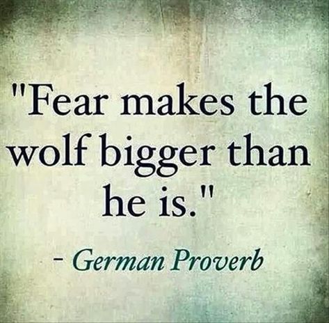 Bold Style, Motivational Quotes For Success, The Wolf, Fashion Quotes, Quotable Quotes, A Quote, Wise Quotes, Great Quotes, Wisdom Quotes