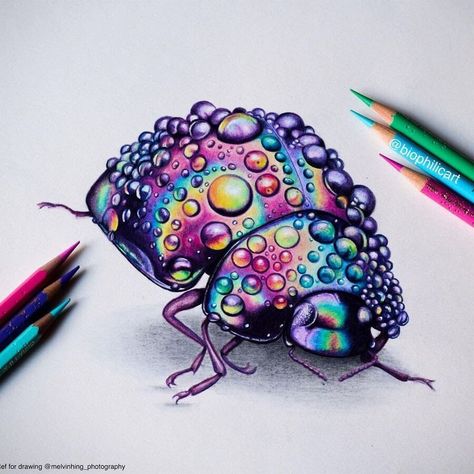 Rain drops Rainbow beetle by Sallyann Colored Pencil Artwork Ideas, Pencil Inspiration, Art Coquillage, Prismacolor Art, Pencil Drawings Of Animals, Colored Pencil Artwork, Colored Pencil Techniques, Arte Sketchbook, Coloured Pencils