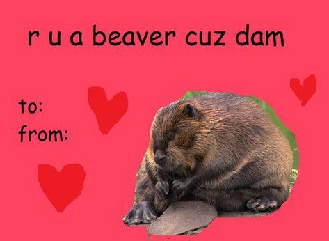 Meme Valentines Cards, Bad Valentines Cards, Weird Valentines, Silly Valentines, Bad Valentines, Cheesy Valentine, Valentines Puns, Vday Cards, Valentines Memes