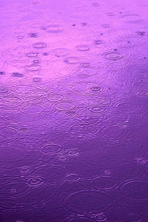 ♪ ♪ Purple Rain ♪ ♪ Iphone13 Aesthetic, Prince Purple Rain, 2020 Movies, Radiant Orchid, Purple Reign, Purple Love, All Things Purple, 4k Wallpaper, Free Iphone