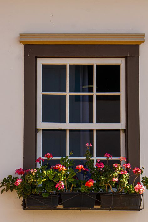 Window with Flowers on the Windowsill Flower Bed Window Sill, Flowers On Window Sill Outside, Windowsill Planter Outdoor, Window Sill Flower Boxes, Windowsill Garden Aesthetic, Outside Window Decor, Window Sill Flowers, Window Arrangements, Window Sill Garden