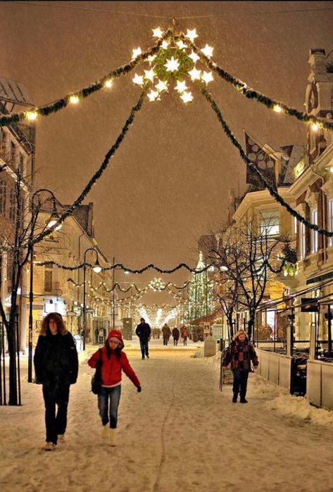 Norway Kristiansand, Kristiansand Norway, Norway Christmas, Norwegian Heritage, Norway Winter, Norwegian Christmas, Beautiful Norway, Kristiansand, Nordic Countries