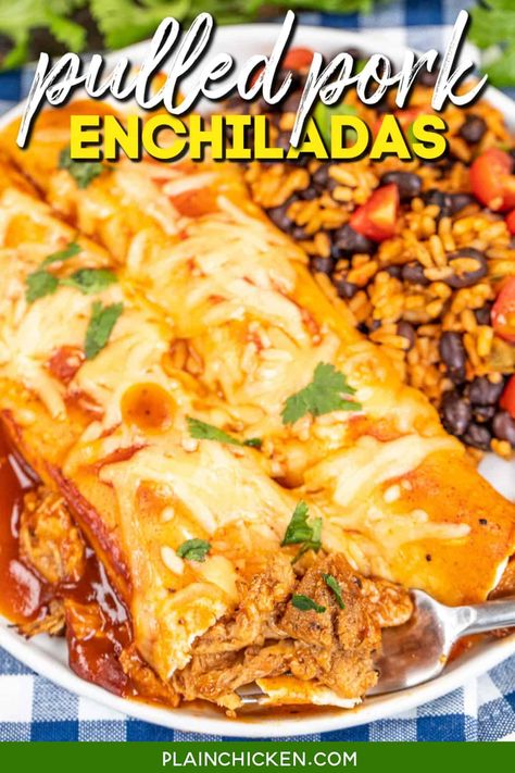 Pork Enchilada Casserole, Mexican Rice And Beans, Pork Leftovers, Homemade Pulled Pork, Shredded Pork Recipes, Plain Chicken Recipe, Pulled Pork Leftover Recipes, Pulled Pork Enchiladas, Fiesta Food