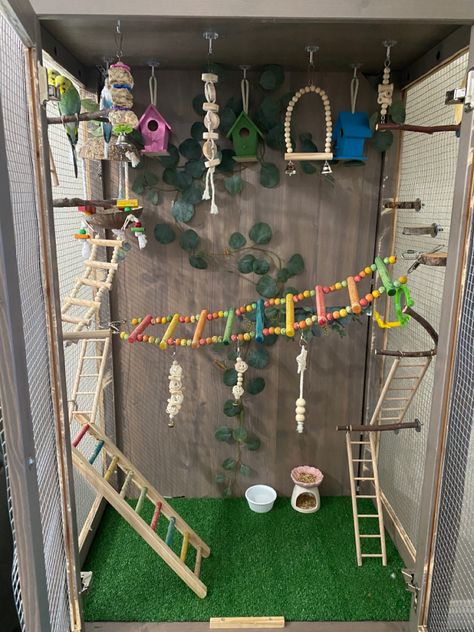 Cute Bird Cage Setup, Parrots House Ideas, Birdcage Ideas Pet, Cool Parakeet Cages, Pet Parakeet Aesthetic, Diy Pet Bird Toys, Diy Bird Cage Accessories, Diy Bird Play Stand, Indoor Aviary Ideas Pet Birds