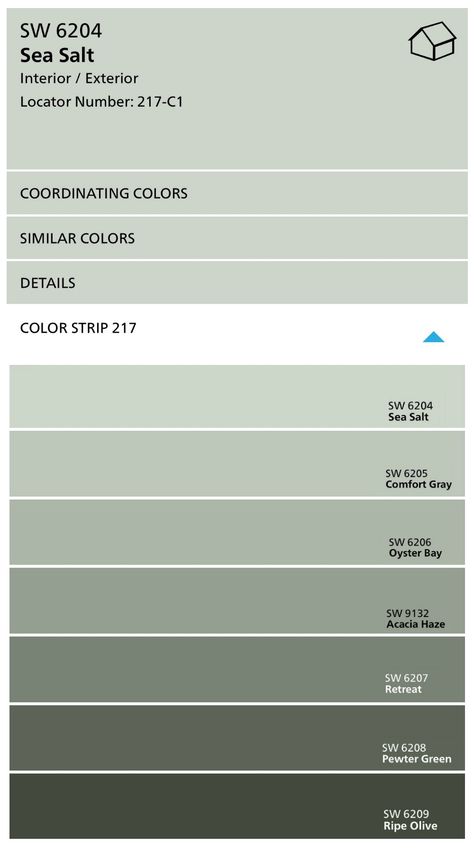 Sherwin Williams Color Strip with Sea Salt and Comfort Gray Best Calming Bedroom Colors, Almost White Green Paint, Priveledge Green Sherwin Williams, Frosted Fern Sherwin Williams, Sea Salt Paint, Sherwin Williams Sea Salt, Sea Salt Sherwin Williams, Interior Paint Colors Schemes, Colour Swatches