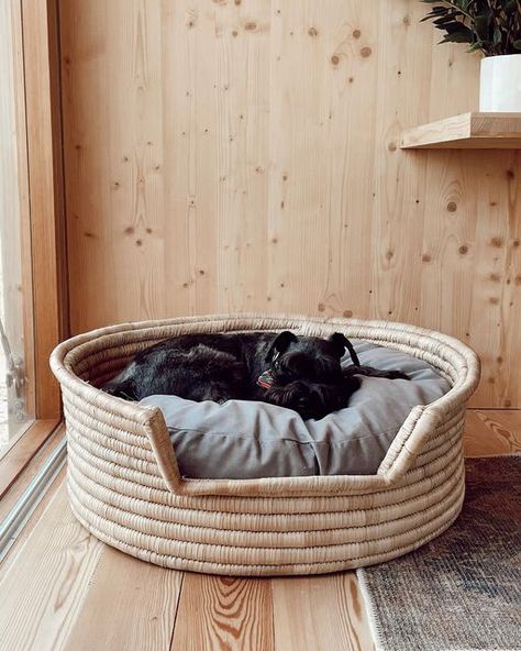 Dreams Bed, Puppy Room, Dreams Beds, Hand Woven Baskets, Cork Fabric, Big Dreams, Dog Beds, Like A Boss, Recycle Plastic Bottles