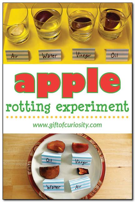 Apple Science, Aktiviti Tadika, Vinegar And Oil, Pre-k Science, Summer Stem, Maluchy Montessori, Apple Preschool, Apple Unit, Lacing Cards