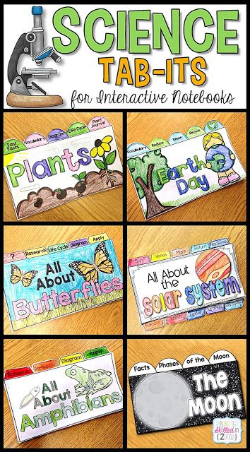 Science FUN with Interactive Notebooks! - Simply Skilled Teaching Science Interactive Notebooks, Books Science, Second Grade Science, 1st Grade Science, First Grade Science, Science Notebook, Third Grade Science, Science Notebooks, Interactive Science